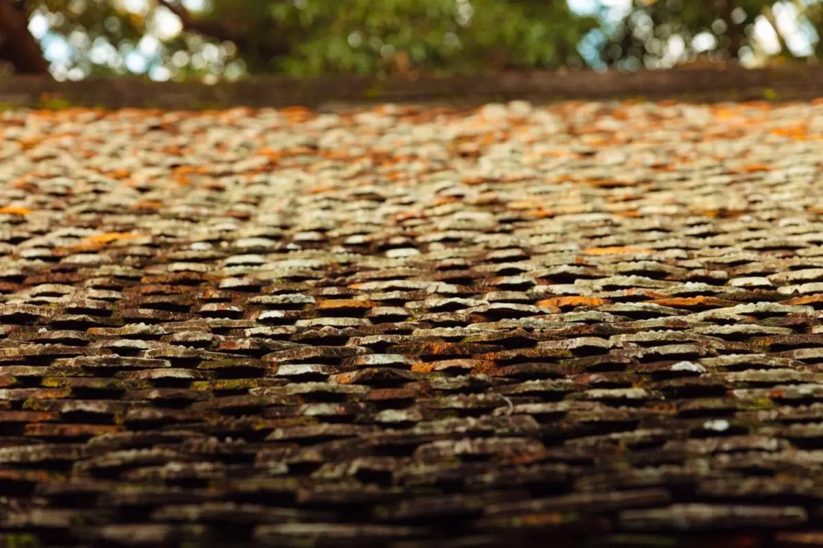 Aging shingle roof with moss growth and granule loss in Danbury, CT